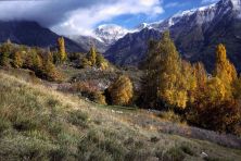 autumn colors.jpg